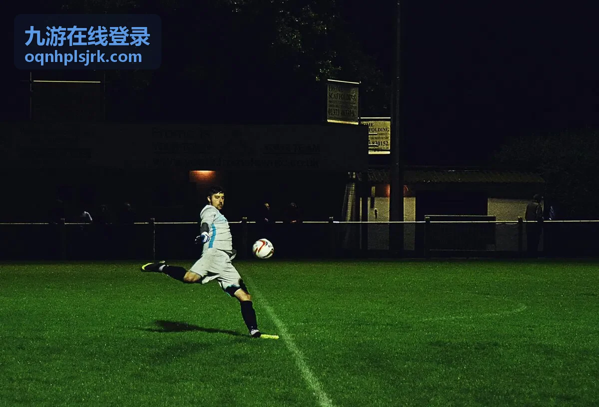 九游在线登录账号验证流程示意